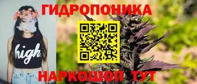 мяу мяу мука Анжеро-Судженск